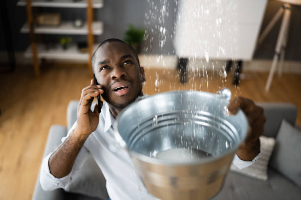 Best Flood damage cleanup  in Ridgecrest, CA