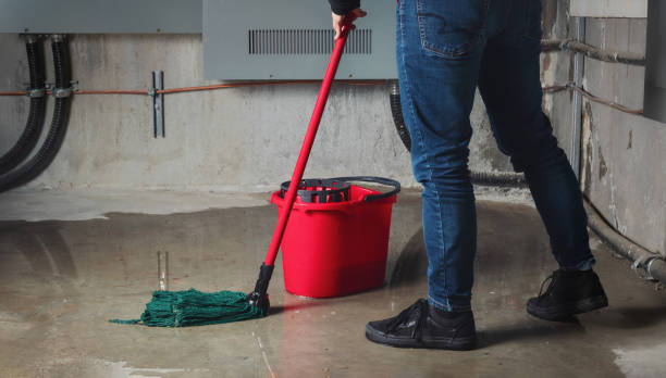 Best Local water damage restoration  in Ridgecrest, CA