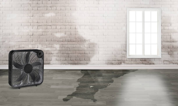 Best Flood damage cleanup  in Ridgecrest, CA