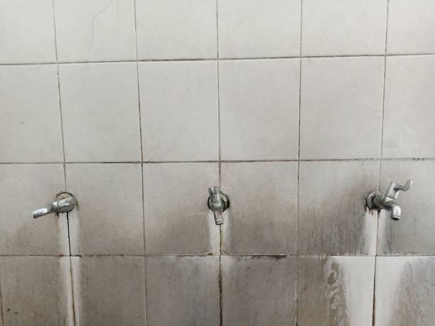 Best Basement water damage restoration  in Ridgecrest, CA